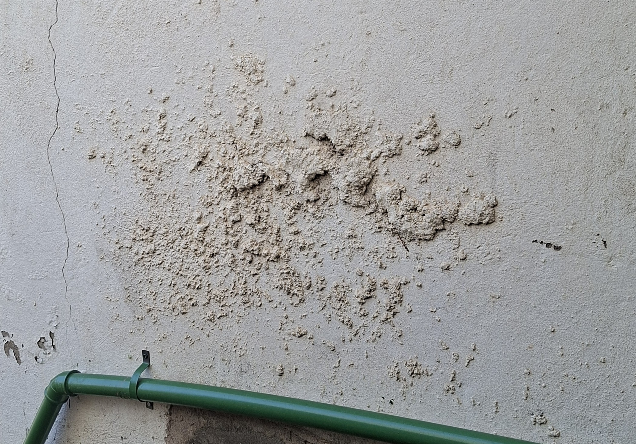 Parede com umidade severa e eflorescência destruindo a pintura da fachada