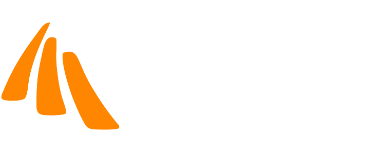 Logo Max New